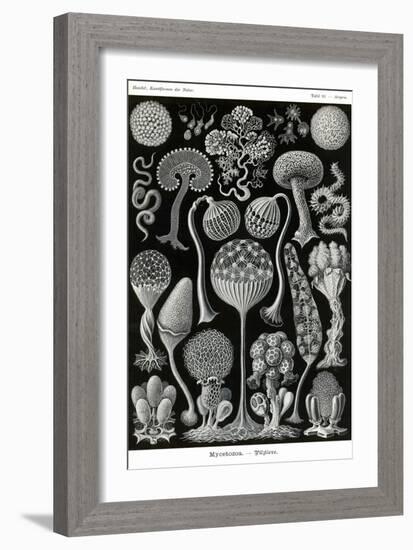 Slime Molds-Ernst Haeckel-Framed Art Print