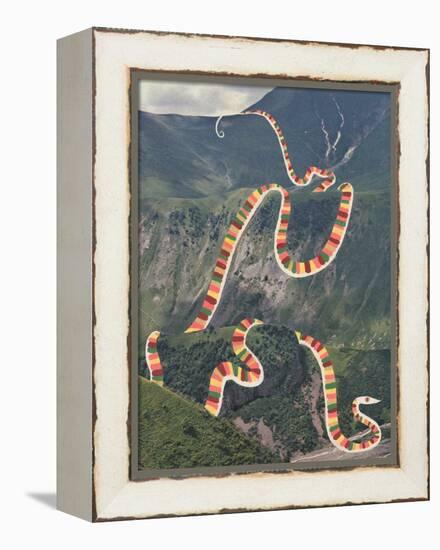 Slinky Snake-Danielle Kroll-Framed Premier Image Canvas