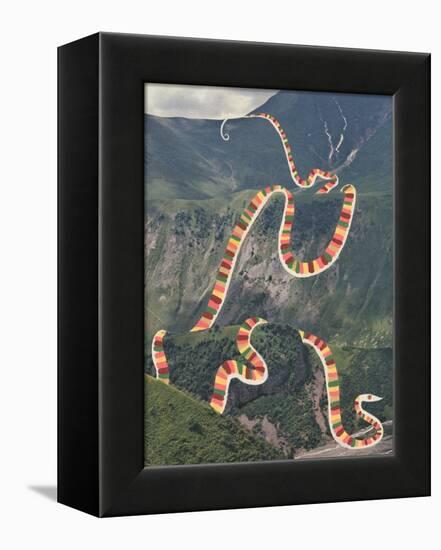 Slinky Snake-Danielle Kroll-Framed Premier Image Canvas