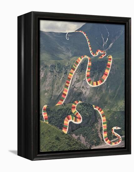Slinky Snake-Danielle Kroll-Framed Premier Image Canvas