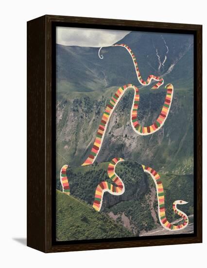 Slinky Snake-Danielle Kroll-Framed Premier Image Canvas