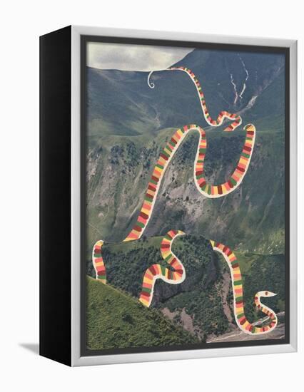 Slinky Snake-Danielle Kroll-Framed Premier Image Canvas