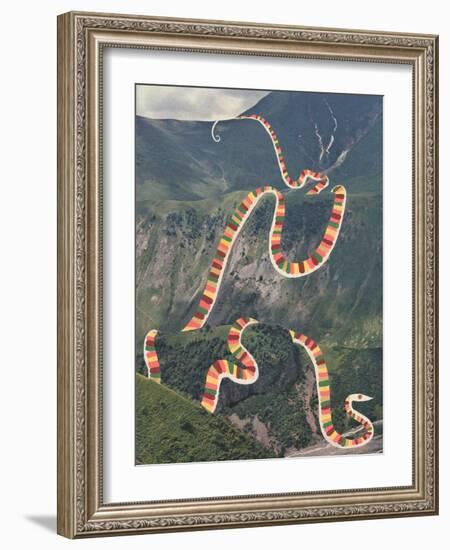 Slinky Snake-Danielle Kroll-Framed Giclee Print