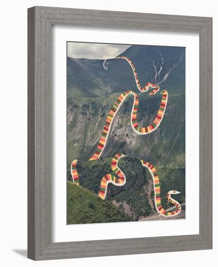 Slinky Snake-Danielle Kroll-Framed Giclee Print