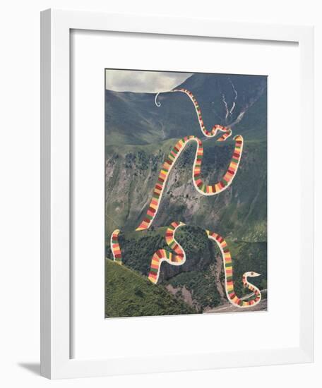 Slinky Snake-Danielle Kroll-Framed Giclee Print