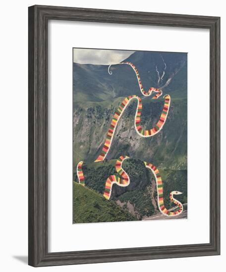 Slinky Snake-Danielle Kroll-Framed Giclee Print