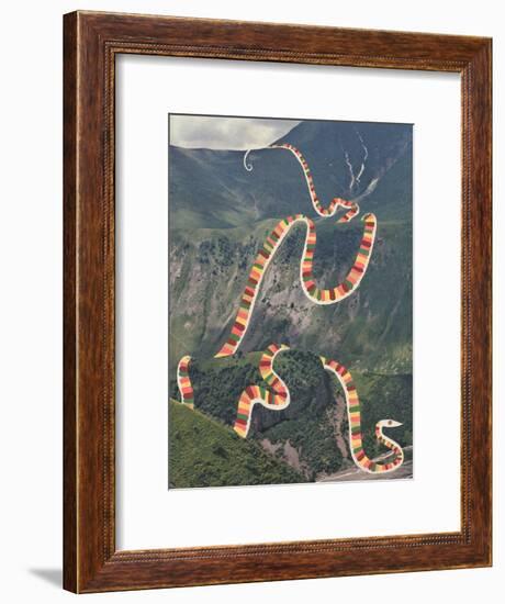 Slinky Snake-Danielle Kroll-Framed Giclee Print