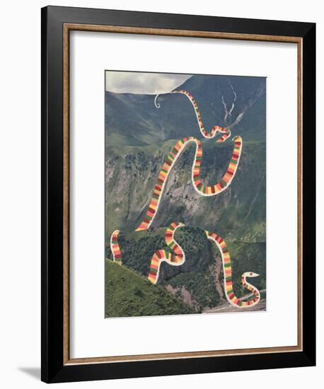 Slinky Snake-Danielle Kroll-Framed Giclee Print