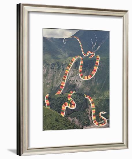 Slinky Snake-Danielle Kroll-Framed Giclee Print