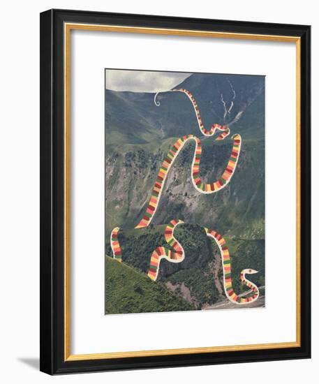 Slinky Snake-Danielle Kroll-Framed Giclee Print