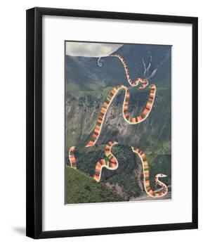 Slinky Snake-Danielle Kroll-Framed Giclee Print