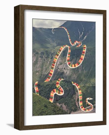 Slinky Snake-Danielle Kroll-Framed Giclee Print