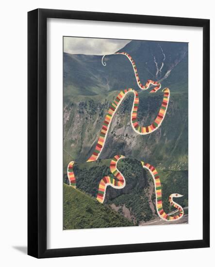 Slinky Snake-Danielle Kroll-Framed Giclee Print