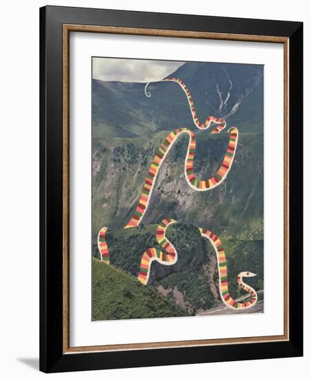 Slinky Snake-Danielle Kroll-Framed Giclee Print