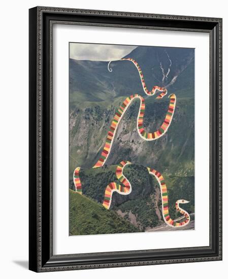 Slinky Snake-Danielle Kroll-Framed Giclee Print