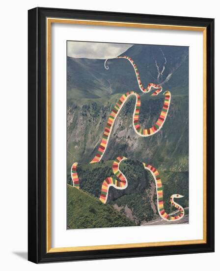 Slinky Snake-Danielle Kroll-Framed Giclee Print