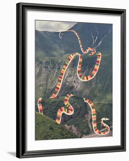 Slinky Snake-Danielle Kroll-Framed Giclee Print