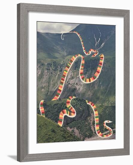 Slinky Snake-Danielle Kroll-Framed Giclee Print