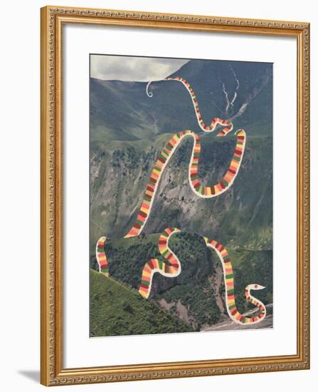 Slinky Snake-Danielle Kroll-Framed Giclee Print