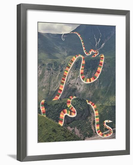 Slinky Snake-Danielle Kroll-Framed Giclee Print