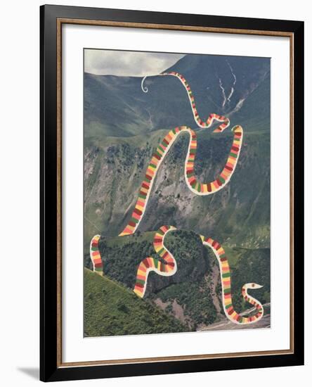 Slinky Snake-Danielle Kroll-Framed Giclee Print