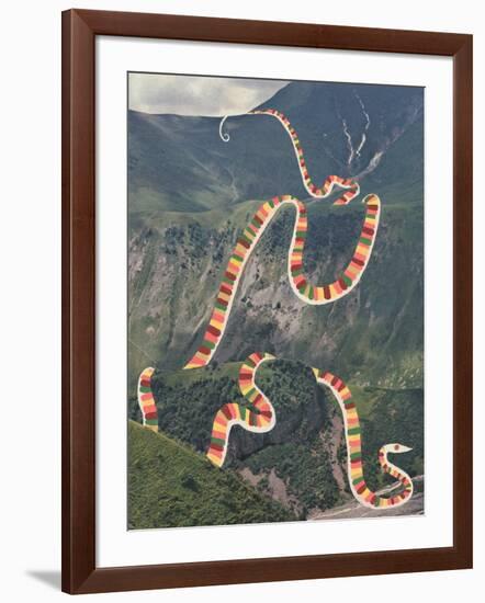 Slinky Snake-Danielle Kroll-Framed Giclee Print