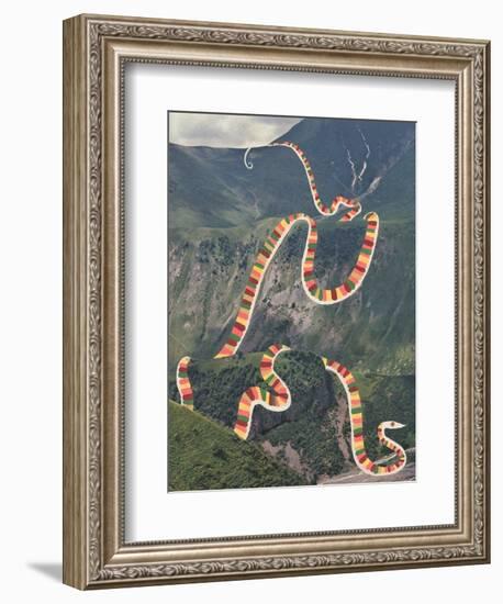 Slinky Snake-Danielle Kroll-Framed Giclee Print