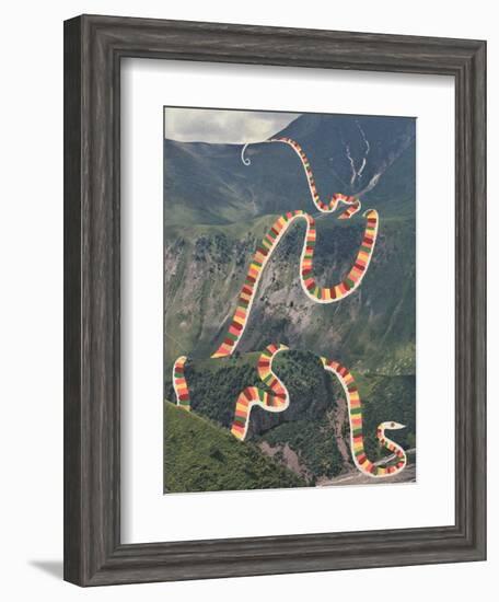 Slinky Snake-Danielle Kroll-Framed Giclee Print