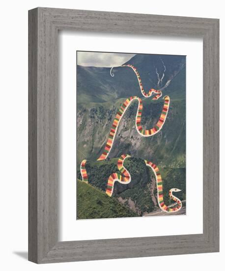 Slinky Snake-Danielle Kroll-Framed Giclee Print