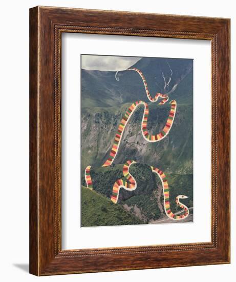 Slinky Snake-Danielle Kroll-Framed Giclee Print