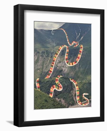 Slinky Snake-Danielle Kroll-Framed Giclee Print