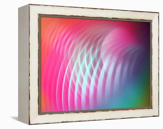 Slinky-Heidi Westum-Framed Premier Image Canvas