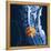 Slipped Disc, MRI Scan-PASIEKA-Framed Premier Image Canvas