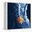 Slipped Disc, MRI Scan-PASIEKA-Framed Premier Image Canvas