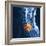 Slipped Disc, MRI Scan-PASIEKA-Framed Premium Photographic Print