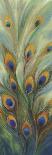 Peacock Tale-Sloane Addison  -Art Print