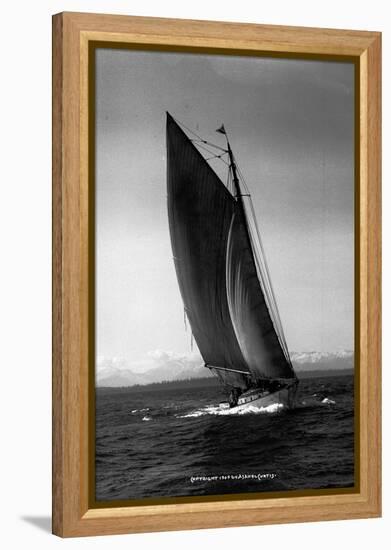 Sloop Sailboat Underway, Circa 1909-Asahel Curtis-Framed Premier Image Canvas