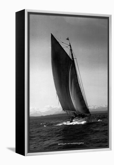 Sloop Sailboat Underway, Circa 1909-Asahel Curtis-Framed Premier Image Canvas