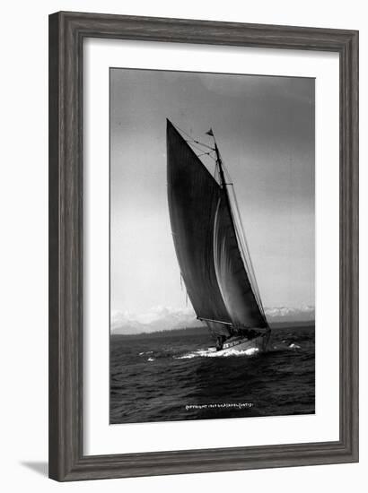 Sloop Sailboat Underway, Circa 1909-Asahel Curtis-Framed Giclee Print