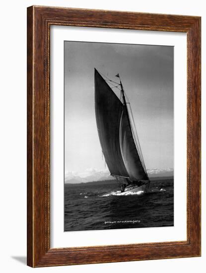 Sloop Sailboat Underway, Circa 1909-Asahel Curtis-Framed Giclee Print