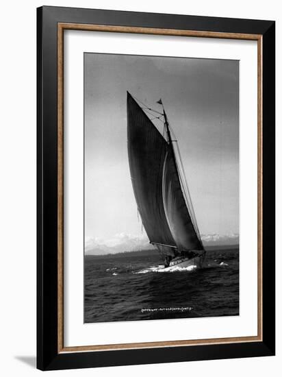 Sloop Sailboat Underway, Circa 1909-Asahel Curtis-Framed Giclee Print