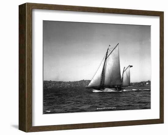 Sloop Sailboat Underway, Circa 1909-Asahel Curtis-Framed Giclee Print