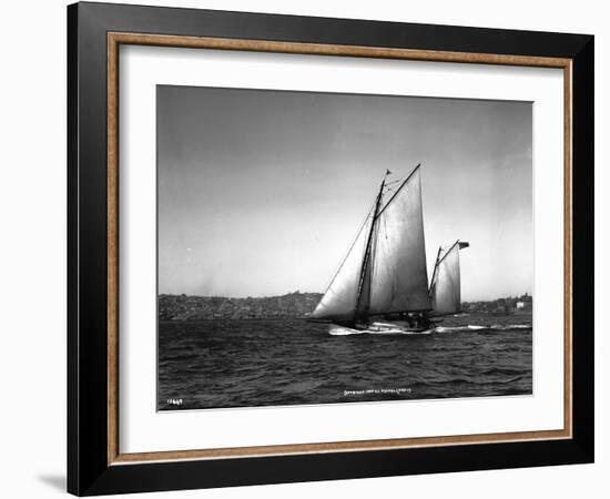 Sloop Sailboat Underway, Circa 1909-Asahel Curtis-Framed Giclee Print