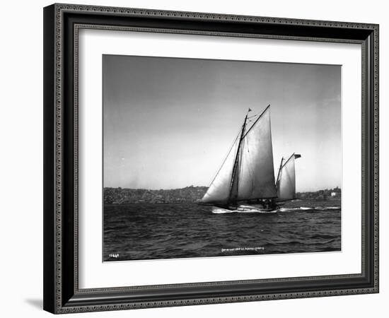 Sloop Sailboat Underway, Circa 1909-Asahel Curtis-Framed Giclee Print