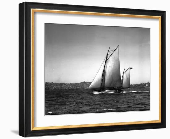 Sloop Sailboat Underway, Circa 1909-Asahel Curtis-Framed Giclee Print