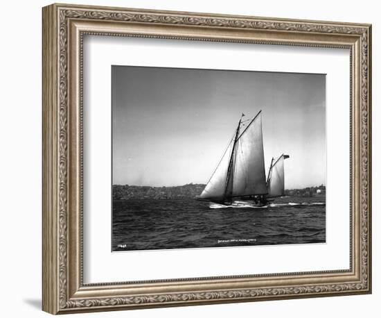 Sloop Sailboat Underway, Circa 1909-Asahel Curtis-Framed Giclee Print