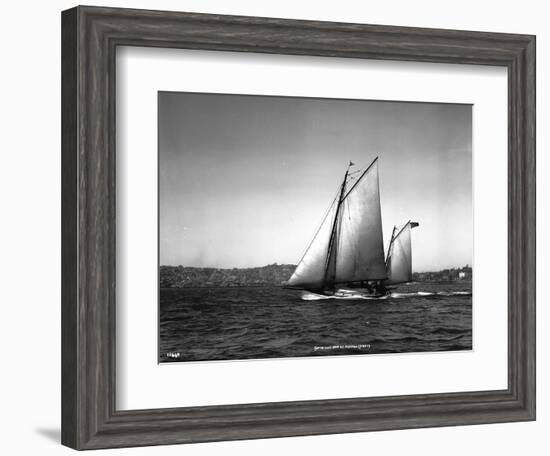 Sloop Sailboat Underway, Circa 1909-Asahel Curtis-Framed Giclee Print