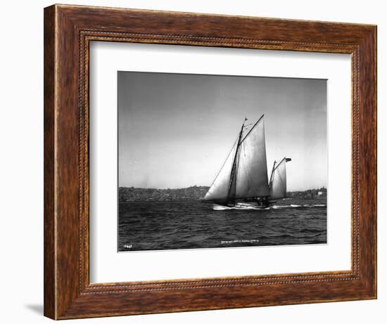 Sloop Sailboat Underway, Circa 1909-Asahel Curtis-Framed Giclee Print