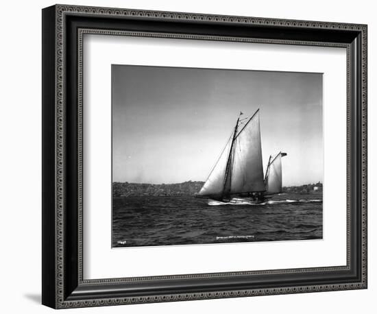 Sloop Sailboat Underway, Circa 1909-Asahel Curtis-Framed Giclee Print