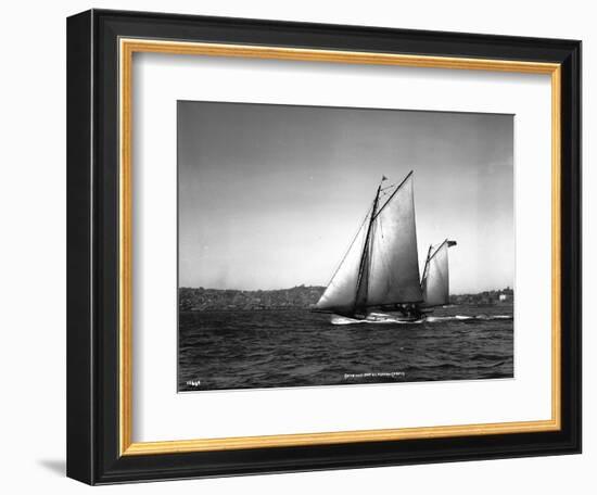 Sloop Sailboat Underway, Circa 1909-Asahel Curtis-Framed Giclee Print